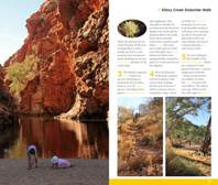 Best Walks of the Red Centre - 9781925403855