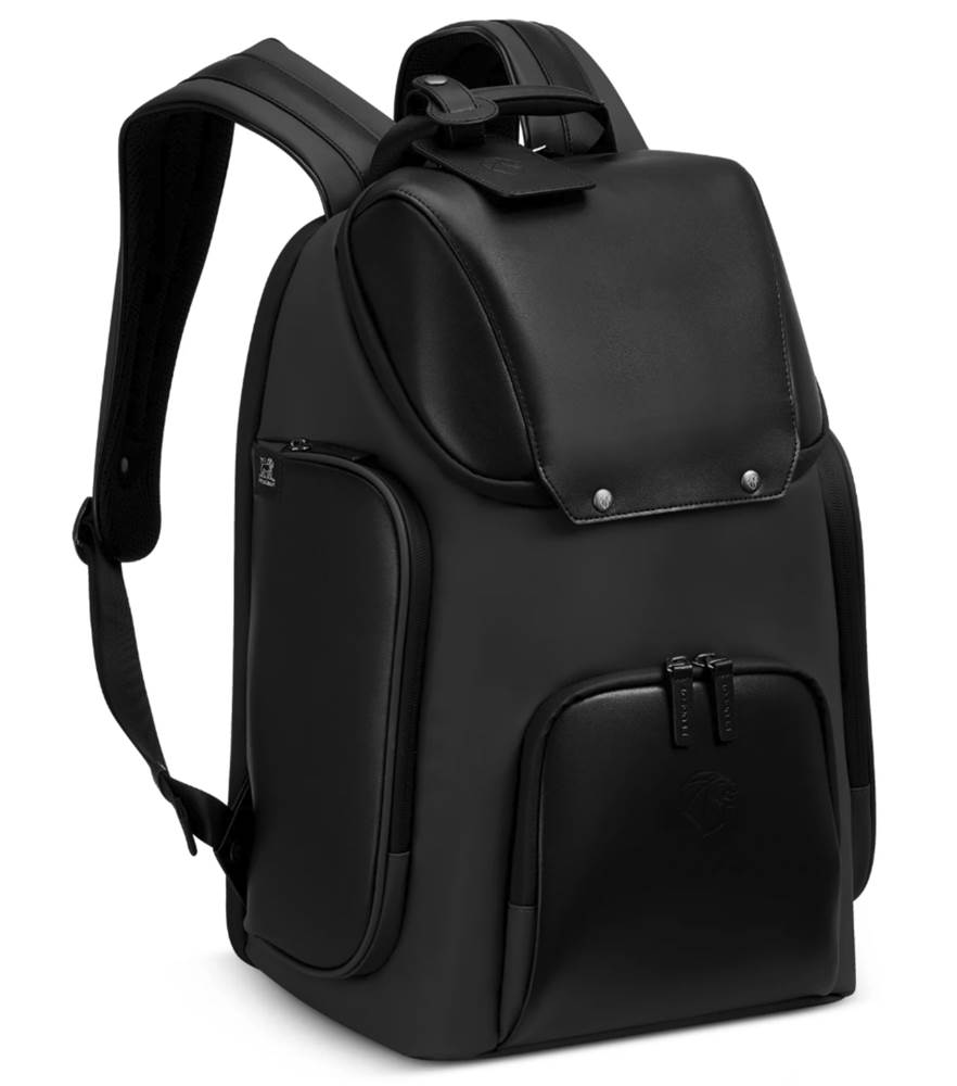 Delsey Peugeot Business Laptop Backpack by Delsey Travel Gear (Peugeot ...