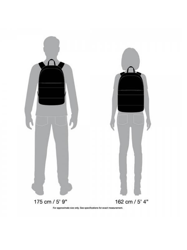 Pacsafe Slingsafe LX300 - Anti-Theft Backpack by Pacsafe (Slingsafe ...