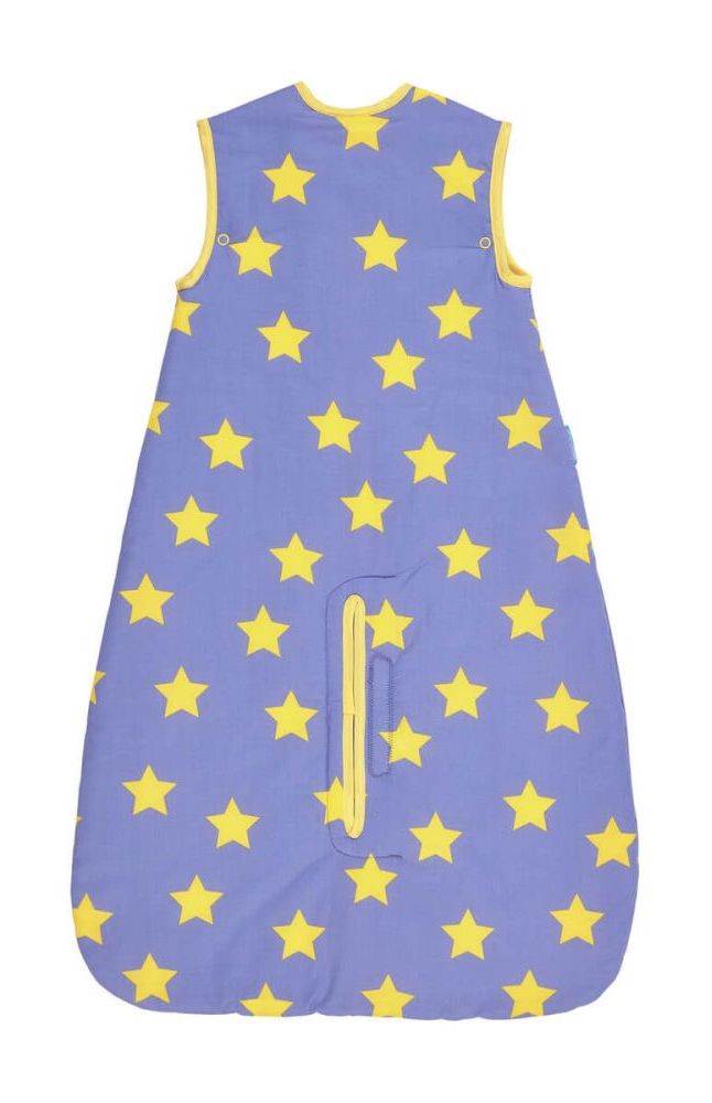 Babyhug Premium Sleeping Bag Travel Print Multicolor Online in India Buy  at Best Price from Firstcrycom  8385311