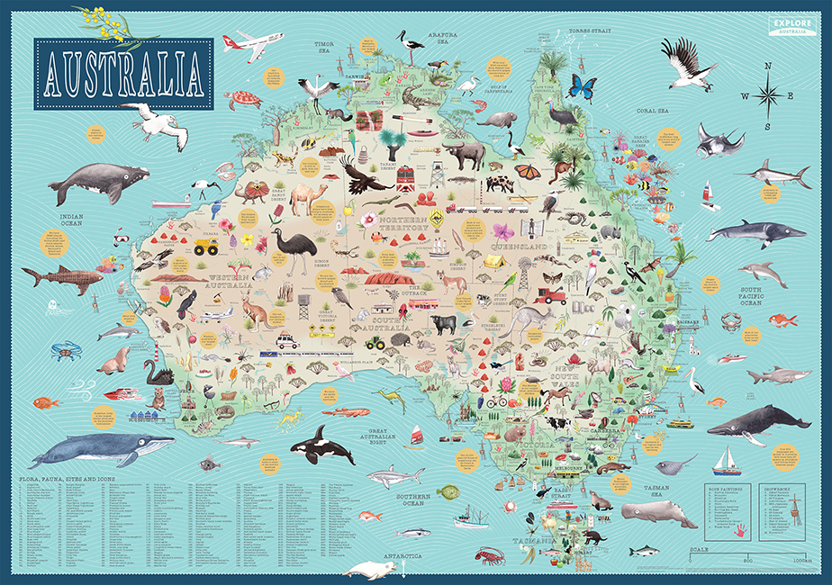 Explore Australia Illustrated Map by Explore Australia (9781741175578)